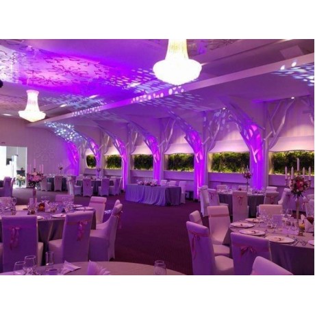 Simfonia Ballroom structura metalica tip copac