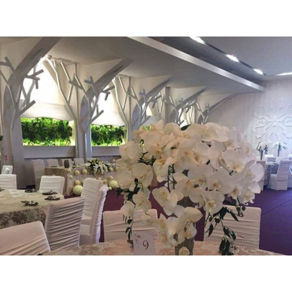 Simfonia Ballroom structura metalica tip copac