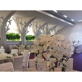 Simfonia Ballroom structura metalica tip copac 