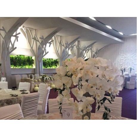 Simfonia Ballroom structura metalica tip copac