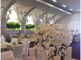 Simfonia Ballroom structura metalica tip copac